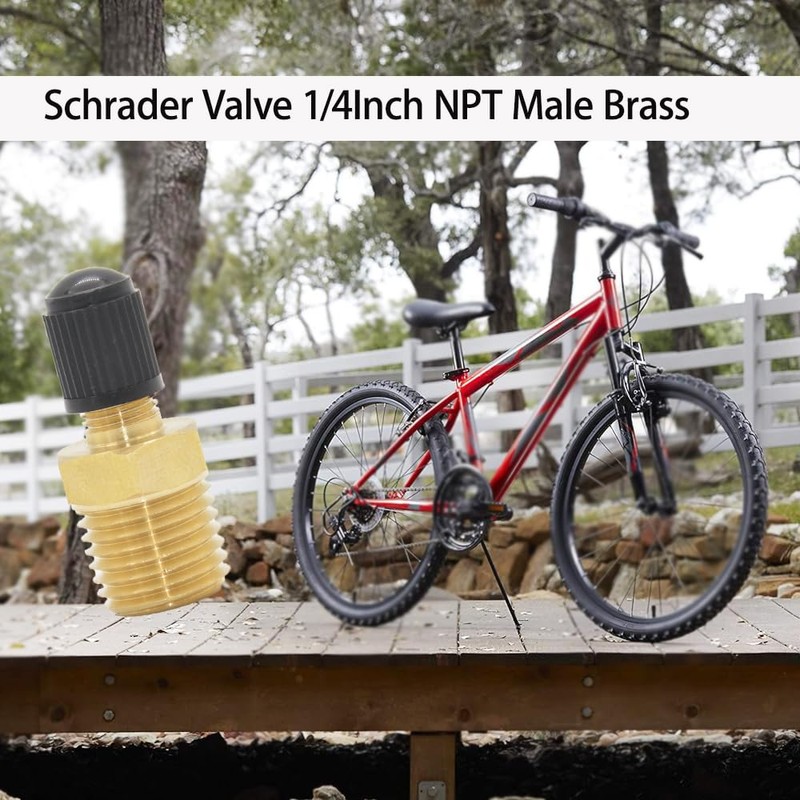 4Pcs Schrader Valve 1/4Inch NPT Male Brass Schrader Valves with