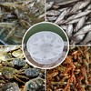 Automatic Folded Fishing Net,Crab Net Fish Net,Casting Cage Crab Net,Foldable