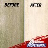 30 SECONDS Pro Mold and Mildew Stain Remover | Scrub