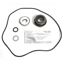 Ace Repair Kit with Silicon Carbide Seal for FMC-150 Pumps (Check Description) Farmer Bob's Parts RK-FMCSC-150