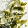 Leonor Greyl Paris Bain Volumateur Aux Algues - Volumizing and