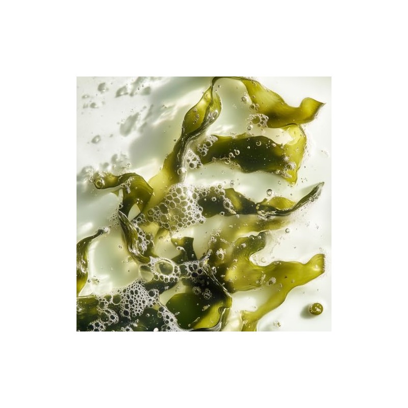 Leonor Greyl Paris Bain Volumateur Aux Algues - Volumizing and