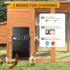 Solar Powered Automatic Chicken Coop Door, LCD Display Chicken Coop