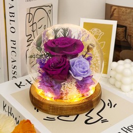 INYPTROPIC Preserved Flowers Birthday Gifts for Women Forever Rose Gifts for Mom Grandma Wife Valentines Mothers Day Christmas Anniversary Eternal Light Up Purple Roses in Glass Dome