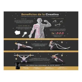 Birdman Performance Creatina Monohidratada 700g  140 Servi                                                                                            