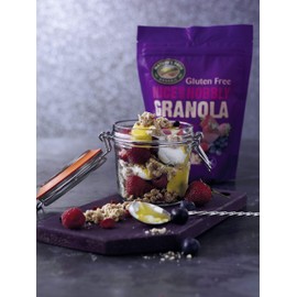 Nature's Path Organic Gluten Free Granola Mixed Berry & Yogurt Chunks, 312g