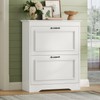 Brinlawb Shoe Cabinet with 2 Flip Drawers, Shoe Storage Cabinet