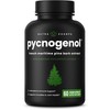 NutraChamps Pycnogenol French Maritime Pine Bark Extract, Premium Circulation Complex,