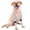 NEUSOP Dog Elbow Brace, Elbow Protector for Dogs Joints Recovery