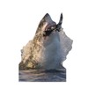 Cardboard People Great White Shark Life Size Cardboard Cutout Standup