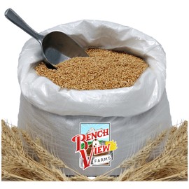 Organic Hard White Wheat Berries - 24lbs