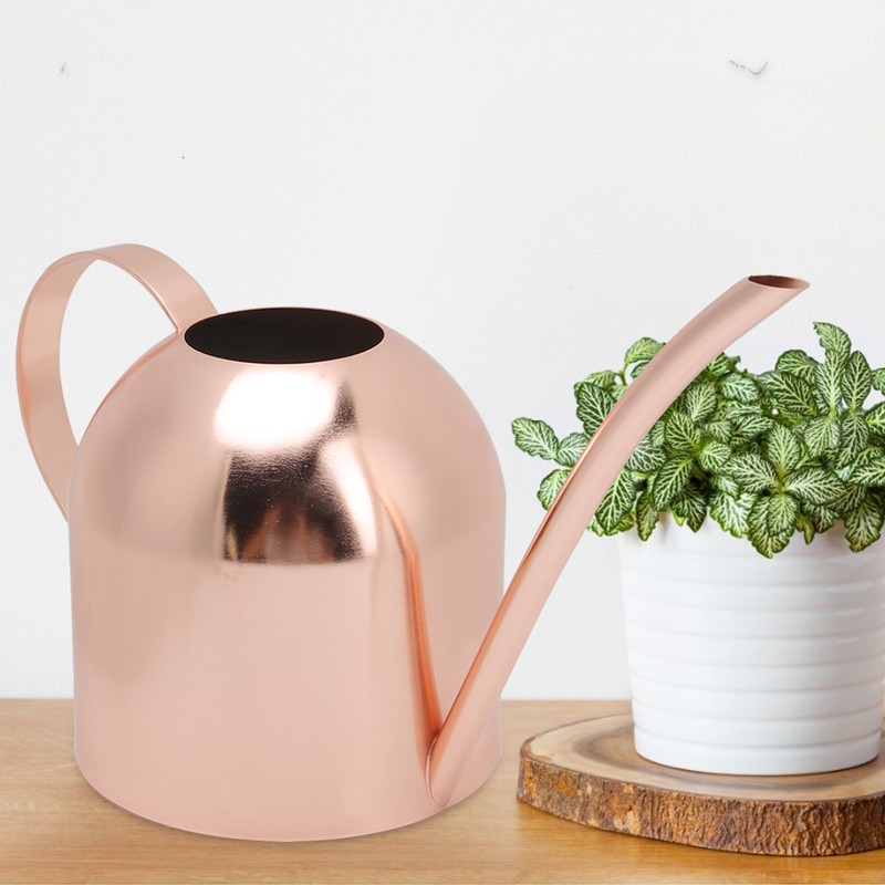 1000ml Stainless Steel Watering Can Sprinkle Pot Long Mouth Garden