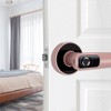 Indoor Smart Biometric Fingerprint Aluminium Alloy Security Electronic Door LockRight
