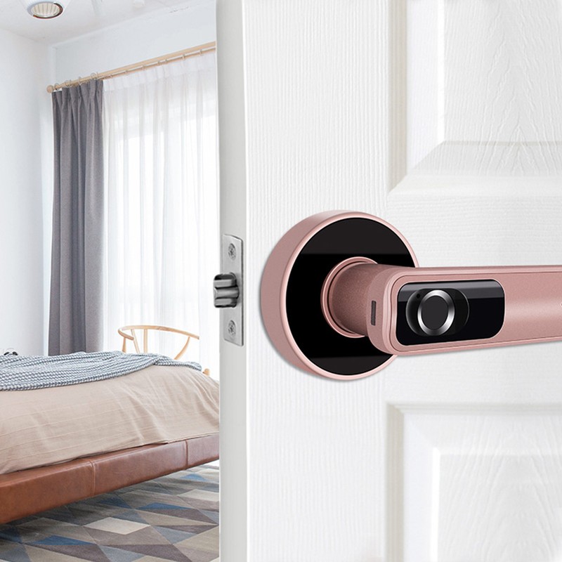 Indoor Smart Biometric Fingerprint Aluminium Alloy Security Electronic Door LockRight