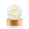Flexzion 3D Clover Crystal Ball Night Light - LED Light
