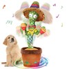 Dancing Cactus Toys,Talking Mimicking Singing Repeats What You Say:_Drumming Cactus