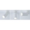 Paulmann Turnal 93087 LED Ceiling Light Surface-Mounted 470 lm 3-Step