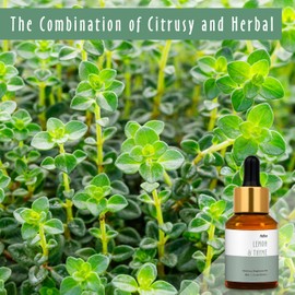 Lemon & Thyme Fragrance Oil, MitFlor Single Scented Oil, Large Size Premium Grade Fragrance Oil for Soap & Candle Making, Hotel Collection Diffuser Oil, Citrusy & Herbal Scent for Home Fragrance, 30ml