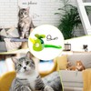Catnip Cat Toys - Creative Sound Toy for Cats,Electronic Sound