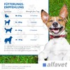 Alfavet Canigum Relax Dietary Supplement Food for Dogs, 120 g