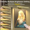 4Pack Rechargeable Picture Light, 5200mAh Brass Battery Operated Picture Lights
