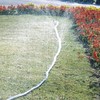 Takagi G410 PVC Irrigation Tube, 32.8 ft (10 m), Irrigation