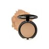 Polvo Conceal + Perfect Shine-proof Powder 06 Beige