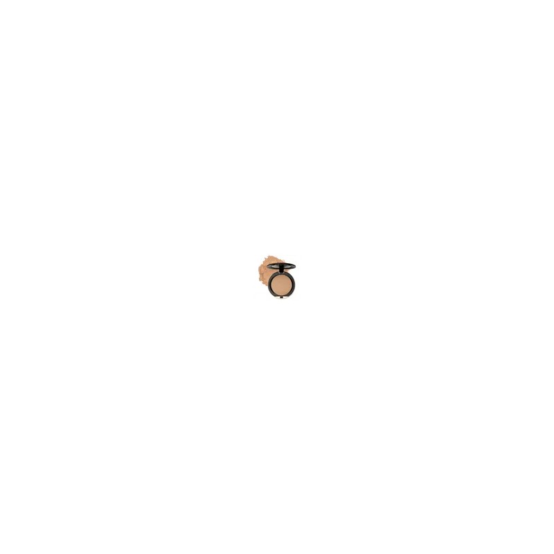 Polvo Conceal + Perfect Shine-proof Powder 06 Beige