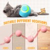 WinnerWhy 6 Pack Interactive Cat Ball Toy for Indoor Automatic