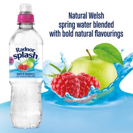 Radnor Splash Still Apple and Raspberry Flavoured Water 12x500ml