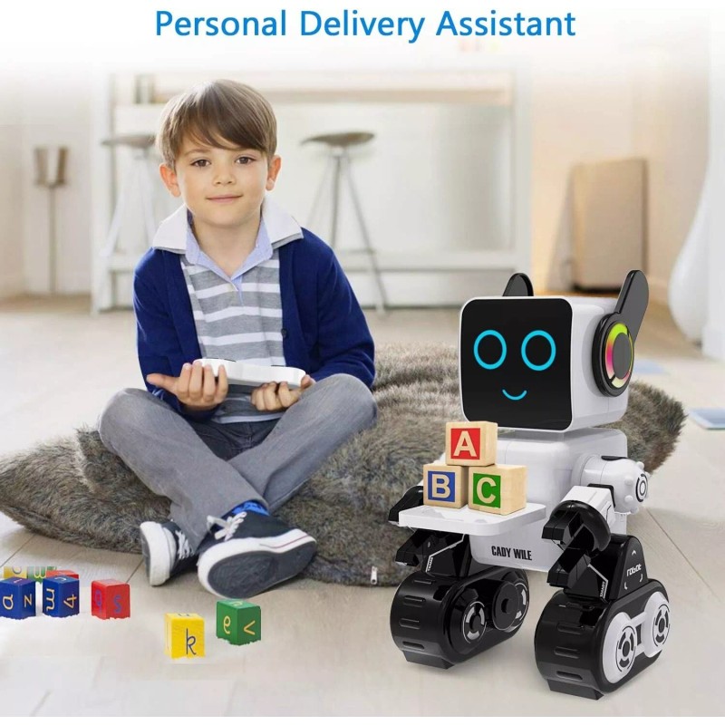 Unbranded Intelligent RC Robot with Programable Voice Music Dance Remote