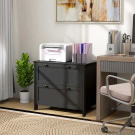 2 Drawer Black File Cabinet Adjustable Hanging Bar for Letter A4 Legal Size Lateral Filing CabinetTitle: Default Title