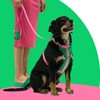 Pet Poop Bag Dispenser – Convenient Leash Attachment | Lightweight