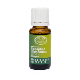 RATHAUS APOTHEKE WIEN konzentrierter Knospenextrakt - Gemmotherapie - Hippophae rhamnoides - Der Sanddorn - 15 ml