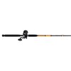 Ugly Stik Bigwater Casting Fishing Rod & Penn Rival Level