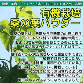 Organic Kyoto Prefecture Mulberry Leaf Powder 3.5 oz (100 g) (Organic Cultivated Mulberry Leaf Tea Powder, Organic Green Juice) Made in Japan