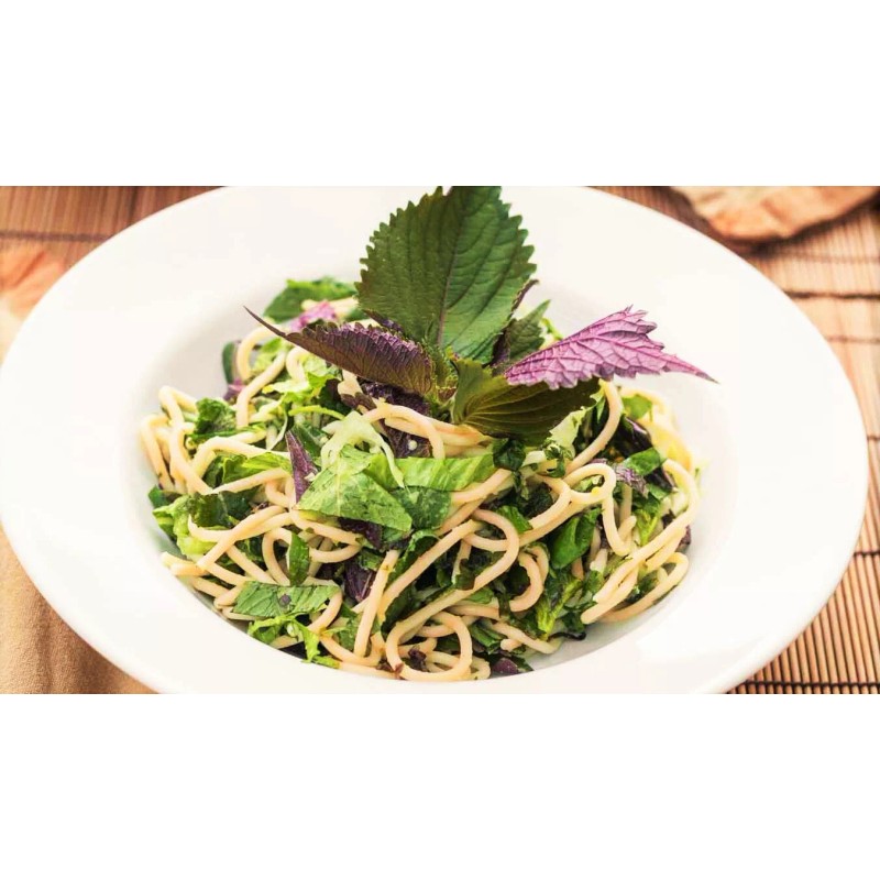 TomorrowSeeds Vietnamese Perilla (Shiso) Seeds | La Tía Tô Asian