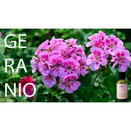 ACEITE ESENCIAL DE GERANIO 15ML
