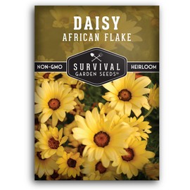 Survival Garden Seeds 1 Pack African Flake Daisy Seeds for Planting with Instructions to Grow Colorful Flowers with Purple Centers in Your Home Flower Garden - Non-GMO Heirloom