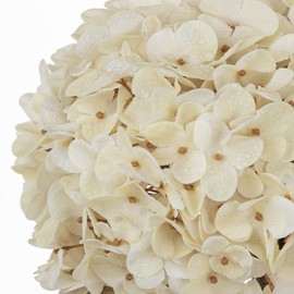 Large Artificial Hydrangea Flowers Real Touch, 25.5" Fall Hydrangeas for Vase
