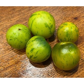 Numbat Green Zebra Striped Heirloom Dwarf Tomato Premium Seeds for Planting Packet