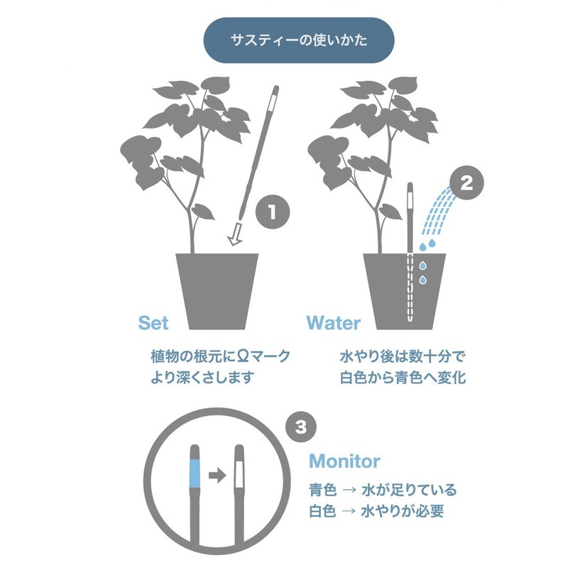 Cabinoche SUSTEE C-0016 Water Checker Susty Refill Single Pack, Large