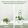 Wellsign Indoor Plant Trellis for Climbing Plants, 16inch Small Garden