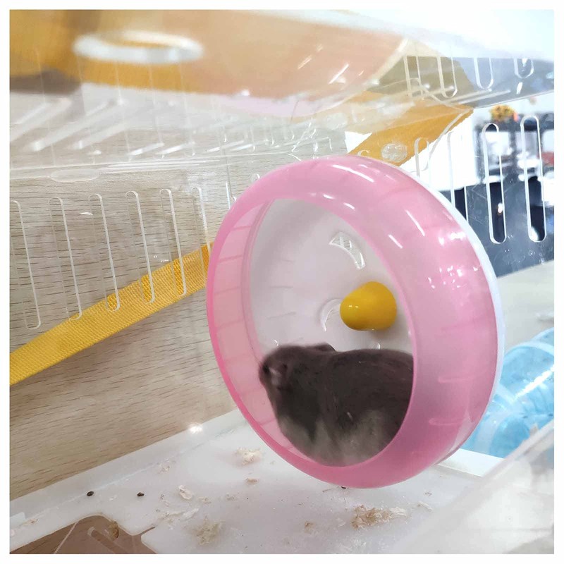 WishLotus Hamster Running Wheel, Silent Jogging Exercise Toy Hamsters Cage