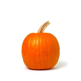 Womack Farm Mammoth Gold Giant Pumpkin, 20 Seeds. Heirloom~Non-G