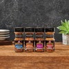 McCormick Grill Mates Unique Blends Grill Mates, 4 CT