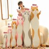 Aiuidun Long Cat Cuddly Toy, Stuffed Animals, Cat Plush Cushion,
