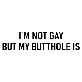 I'm Not Gay But My Butthole Is Bumper Sticker Funny Car Sticker I'm Not Gay But My Butthole Is Sticker Decal Made in US
