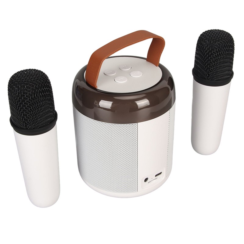 Wireless Karaoke Speakers RGB Light Bluetooth5.3 Speaker with 2 Wireless