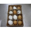 Posiwio 12 Easter eggs, real chicken eggs, Easter decoration, Easter